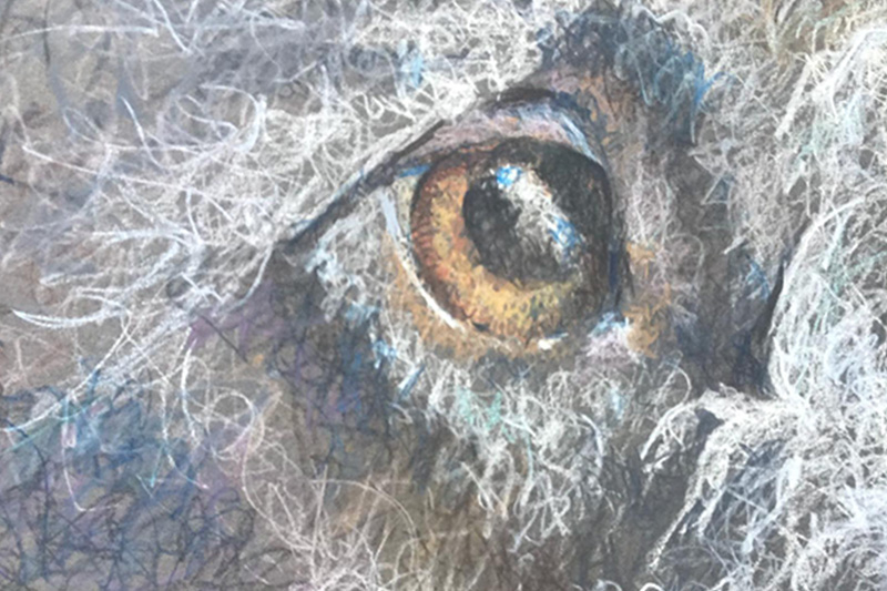 A closeup look at one of Karen's watercolor scribbled pieces where she is portraying the loving look seen in a dog's eyes.