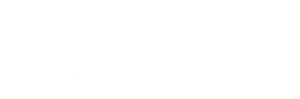 Veracity Vue Logo