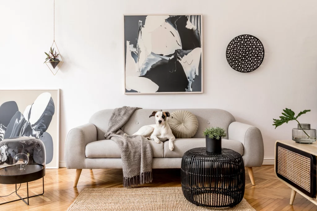 A styled living room with cool-tone abstract art prints, a gray sofa with a white-and-brown dog sitting upon it, black furniture accents, and a brown wooden floor.